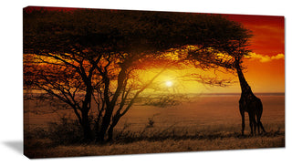 Typical African Sunset with Giraffe, African Landscape Canvas Art, 32"x16"