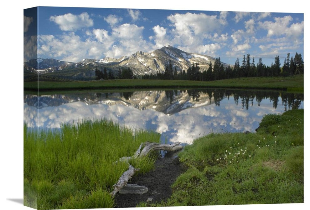"Mammoth Peak, Reflected In Lake, Yosemite National Park, California" Artwork