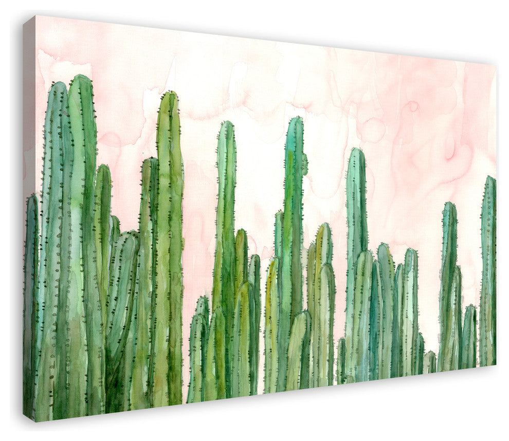 Field of Cactus on Pink Watercolor Print on Canvas