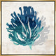 Cerulean Coral IV, 37.25"x37.25", Gold Leaf Gallery Float