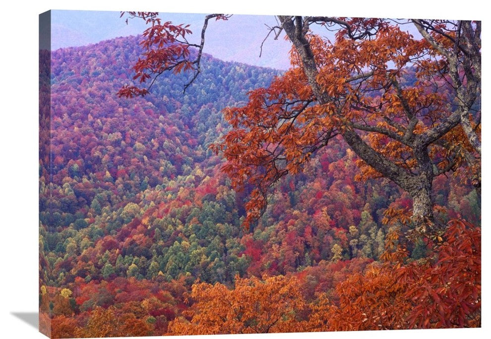 "Blue Ridge Range, Near Buck Creek Gap, North Carolina" Artwork