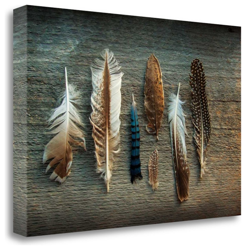 "Feather Collection I" By Sue Schlabach, Giclee Print on Gallery Wrap Canvas