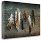 "Feather Collection I" By Sue Schlabach, Giclee Print on Gallery Wrap Canvas