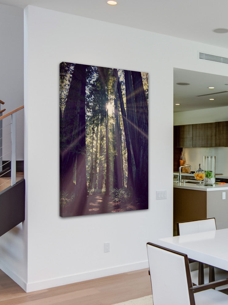 "Redwoods Hike" Painting Print on Wrapped Canvas