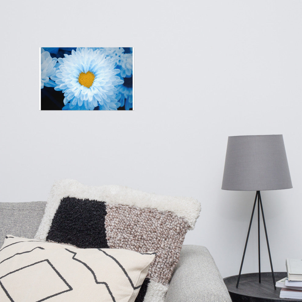 Blue Tinted Chrysanthemums Floral Nature Photo Loose Wall Art Print, 12" X 18"