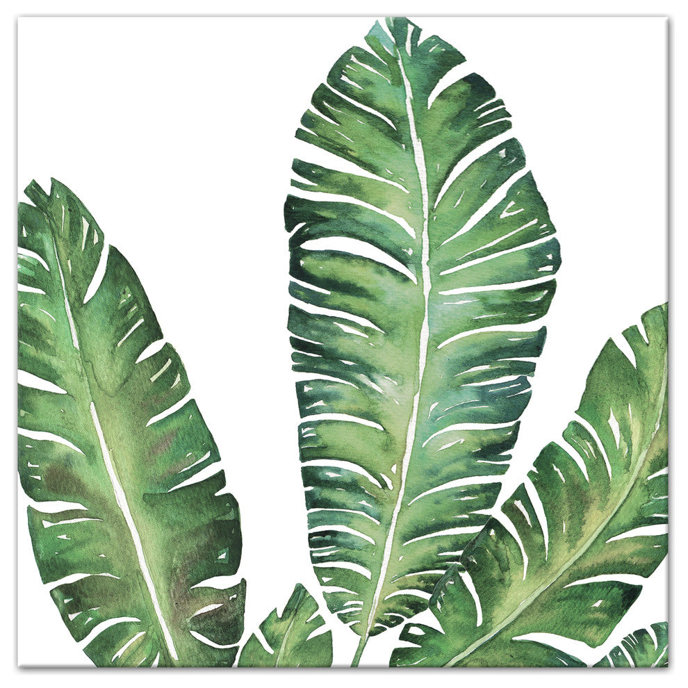 Banana Leaves 24x24 Canvas Wall Art