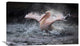 "Bathing Fun" Stretched Canvas Giclee by Antje Wenner-Braun, 36x22"