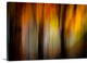 "Fall Light I" Wrapped Canvas Art Print, 24"x16"x1.5"