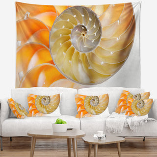 Isolated Nautilus Shell Contemporary Wall Tapestry, 60"x50"