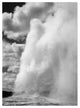 "Old Faithful, Yellowstone National Park, ca. 1941-1942" Paper Art, 18"x24"