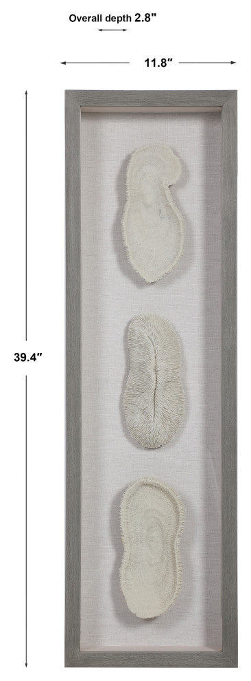 Uttermost White Coral Shadow Box