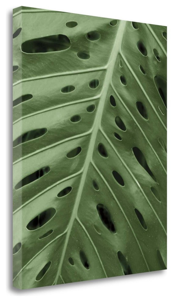 "Tropica II" By Jeff, Giclee Print on Gallery Wrap Canvas, Ready to Hang