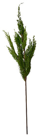 30" Cedar Spray