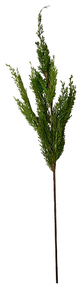 30" Cedar Spray
