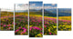 Summer Day Rhododendron Flowers, Landscape Canvas Art Print, 60"x32", 5 Panels