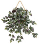 Nearly Natural 20" Wandering Jew Artificial Plant in Decorative Hanging Frame