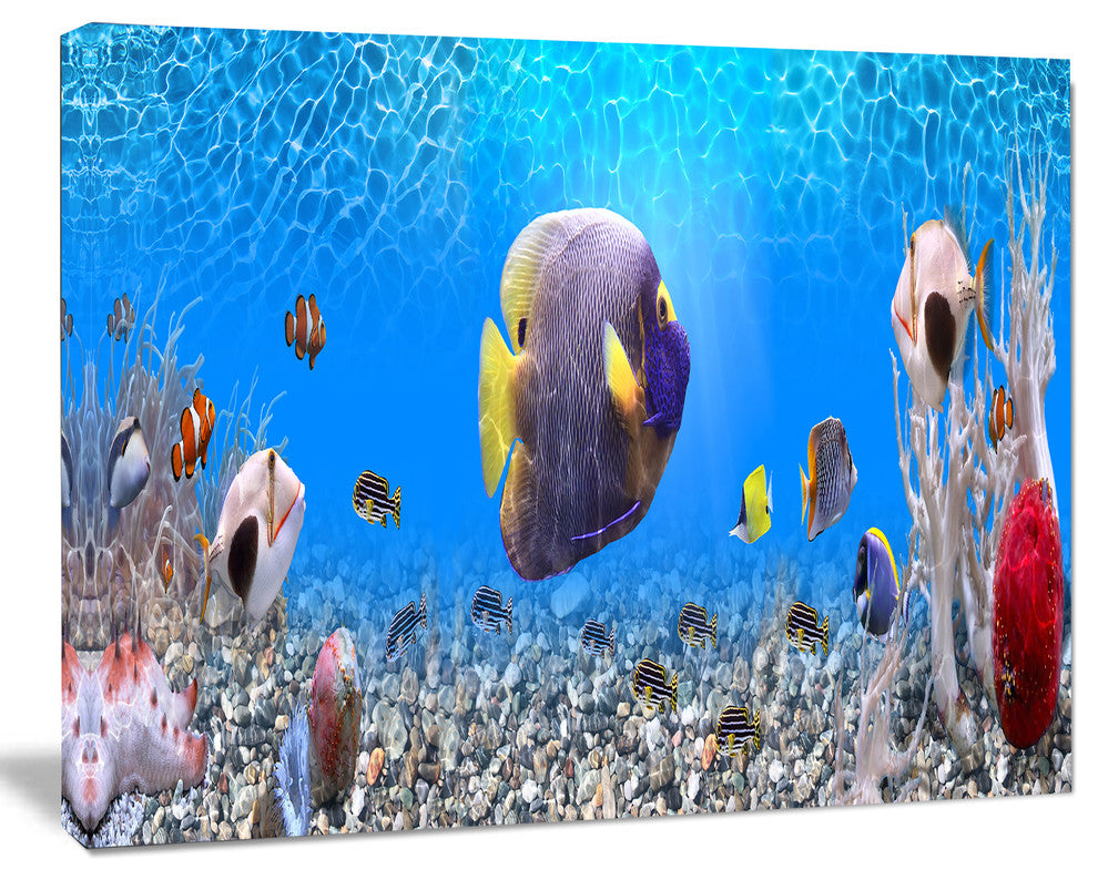 Underwater Universe Panorama, Landscape Canvas Art Print, 40"x30"