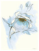 "Carols Roses V Blue" Digital Paper Print by Shirley Novak, 18"x22"