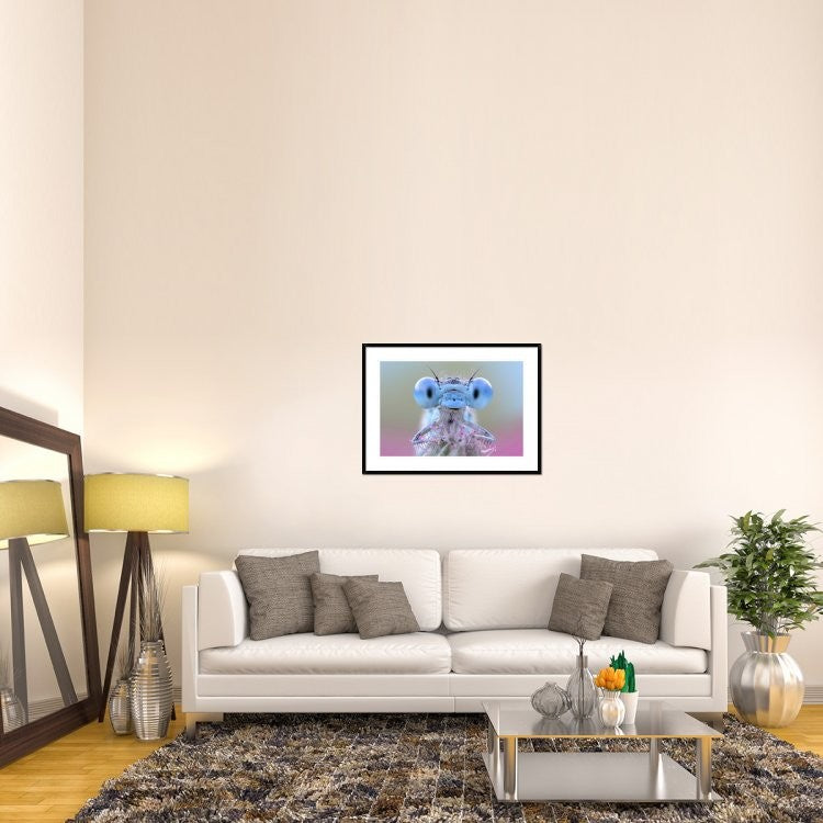 "Damigella" Framed Digital Print by Ghizzi Panizza Alberto, 38"x28"