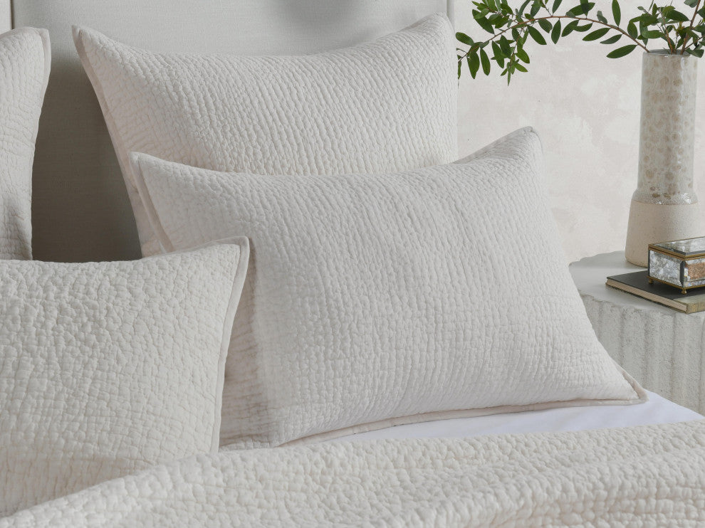 Danica 100% Cotton Sham by Kosas Home, Ivory, Standard