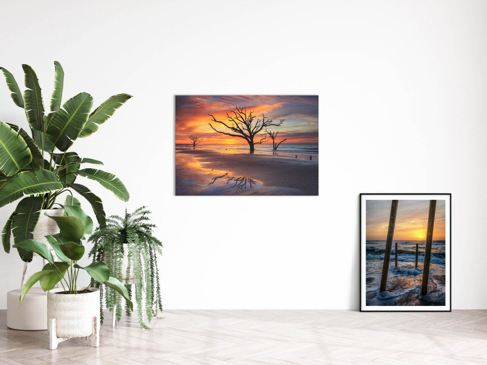 Sunrise & Trees At Edisto Island Coastal Landscape Photo Canvas Wall Art Print, 24" X 36"
