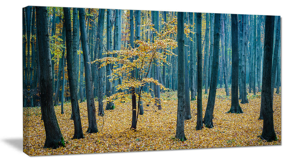 "Dense Autumn Beach Forest" Oversized Forest Canvas Artwork, 1 Panel, 60"x28"