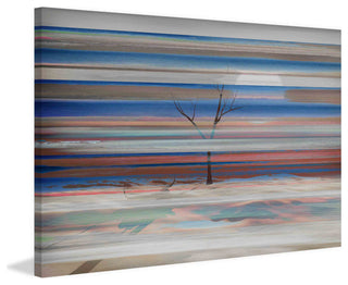 "Desolation" Print on Canvas, 18"x12"