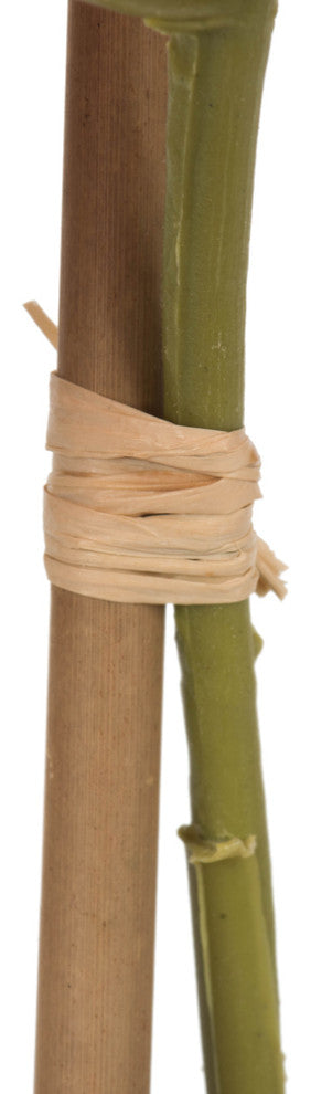 Vickerman 18" Mauve Orchid Arrangement