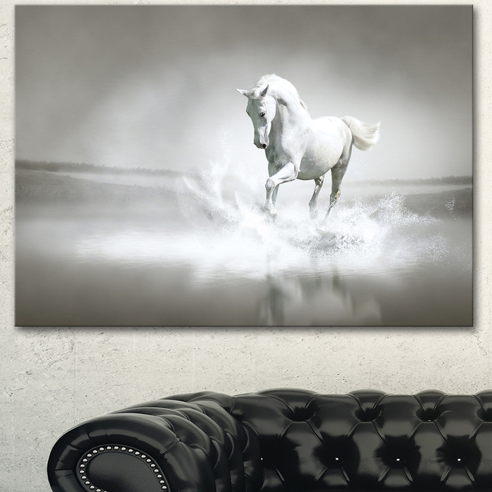 White Horse Running in Water, Animal Canvas Art Print, 40"x30"