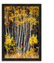 "In The Aspens", Framed Photograph Print, Ready To Hang