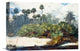 "In A Florida Jungle" Stretched Canvas Giclee by Winslow Homer, 16"x11"