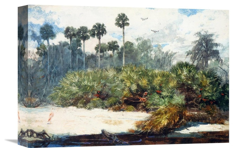 "In A Florida Jungle" Stretched Canvas Giclee by Winslow Homer, 16"x11"