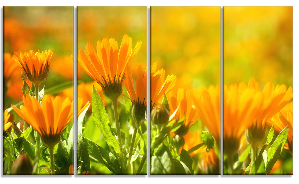 Orange Marigold Flowers in Sunlight, Floral Canvas Art Print, 48"x28", 4 Panels