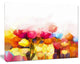 Yellow Pink Red Tulips on White, Large Floral Canvas Artwork, 40"x30"