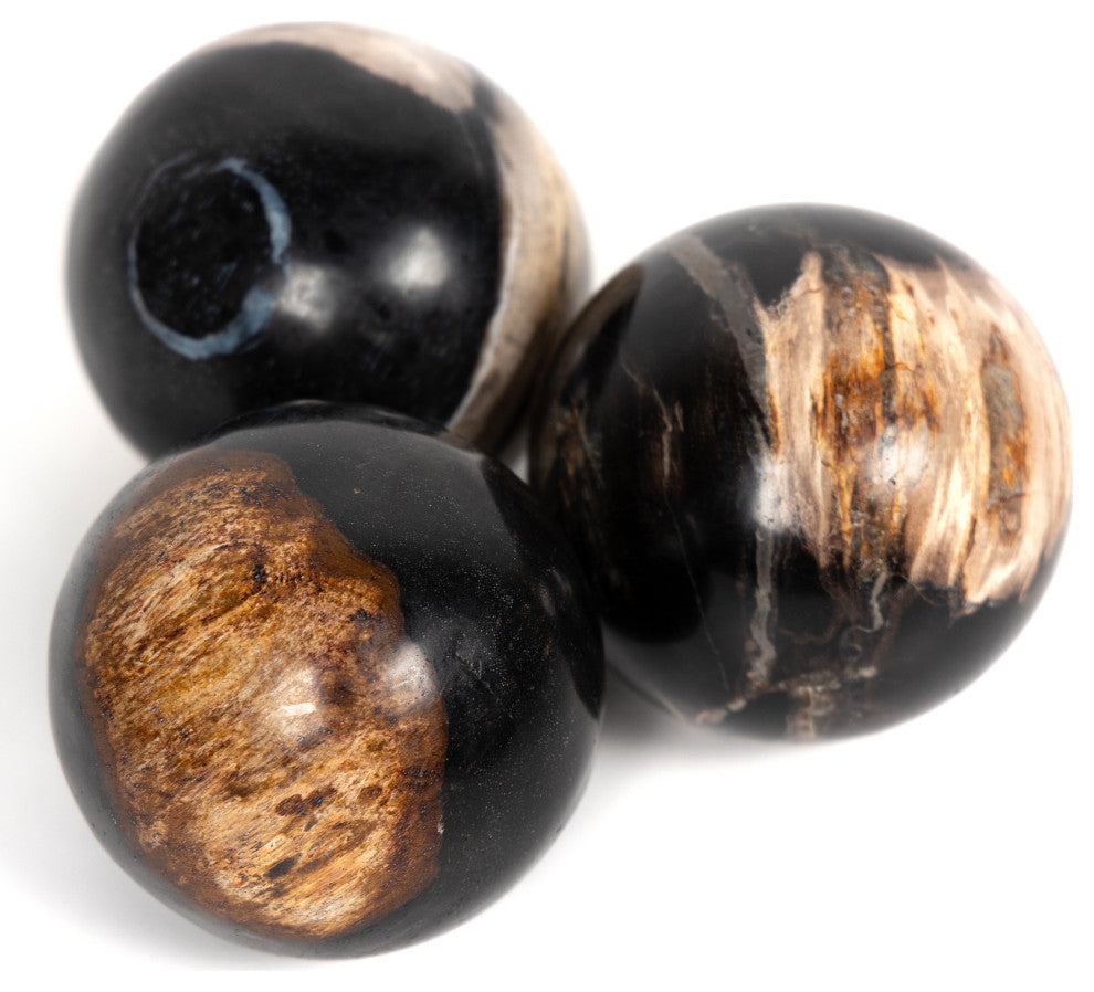 Petrified Wood Balls, Set 3-Dark