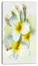 Frangipani Flowers Watercolor, Floral Canvas Art Print, 16"x32"