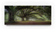"Walking On The Trees Avenue" by Moises Levy, Canvas Art