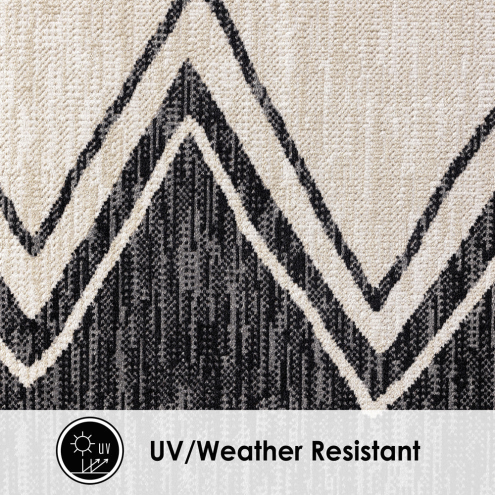 Home Dynamix Area Rugs: Patio Sofia Rugs by Nicole Miller: 7899-457 Black-Ivory