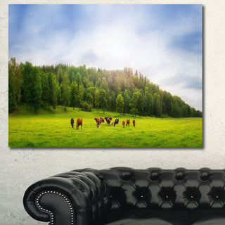 Cows on Field Panorama, Landscape Canvas Art Print, 60x40