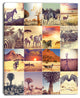 African Wildlife and Nature Collage, African Landscape Canvas Print, 30"x40"