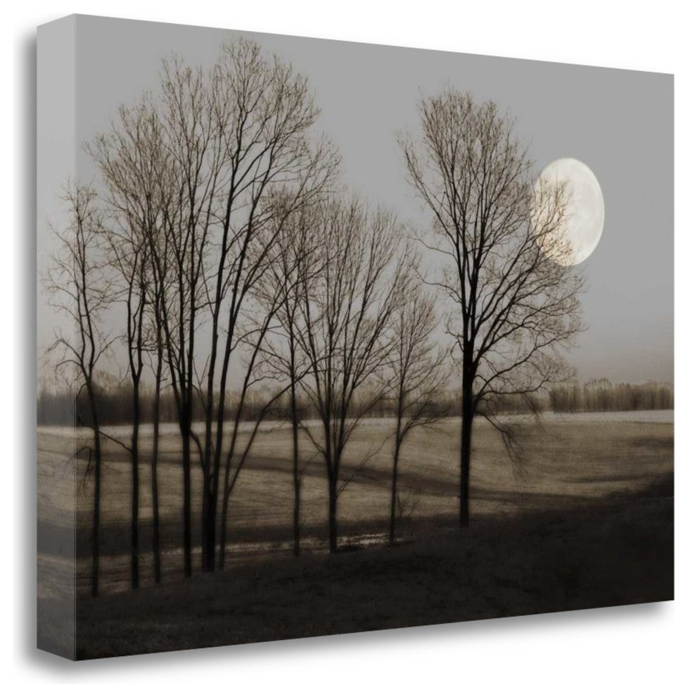 "November Moon" By Heather Jacks, Giclee Print on Gallery Wrap Canvas