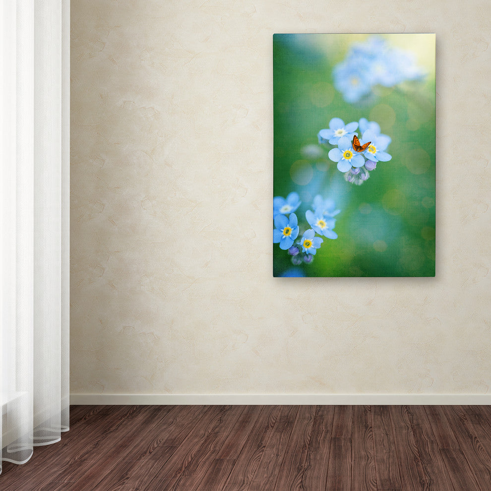 Philippe Sainte-Laudy ''Forget-Me-Not'' Canvas Art, 30x47