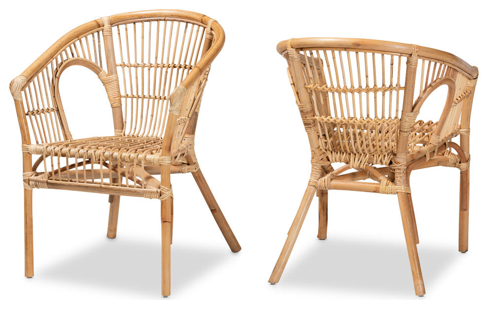 Alleta Modern Bohemian Natural Brown Rattan 2-Piece Dining Chair Set