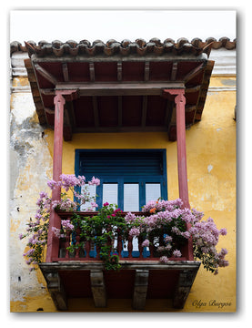 Indoor/Outdoor Wall Decor 'Provincial XIV' in ArtPlexi, 40"x30"
