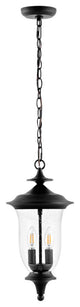 Safavieh Dowell Outdoor Pendant Black