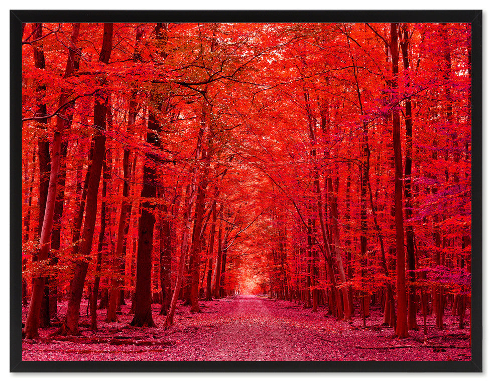 Autumn Road Red Landscape Photo Print on Canvas with Picture Frame, 13