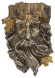 10.25" Brown Tree Face Outdoor Garden Planter