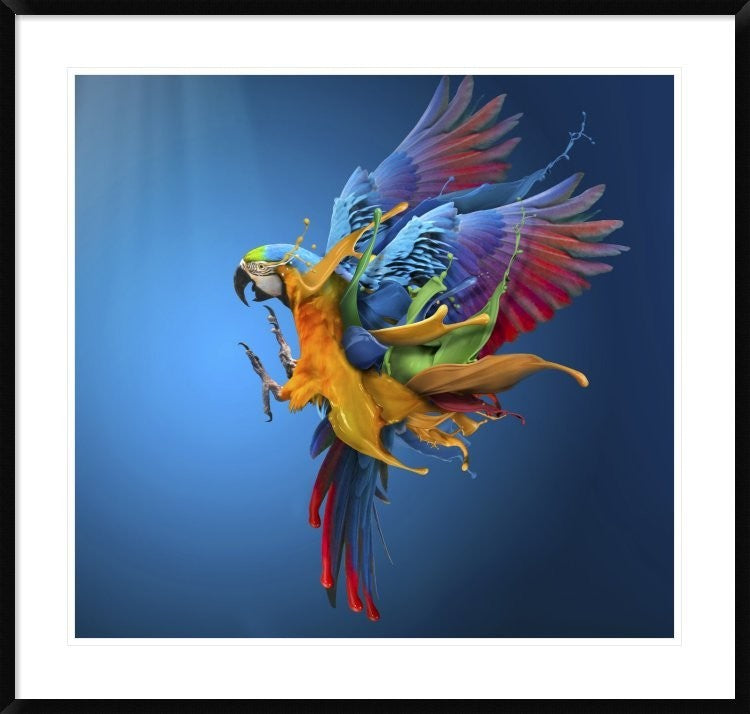 "Flying Colours" Framed Digital Print by Sulaiman Almawash, 38x36"