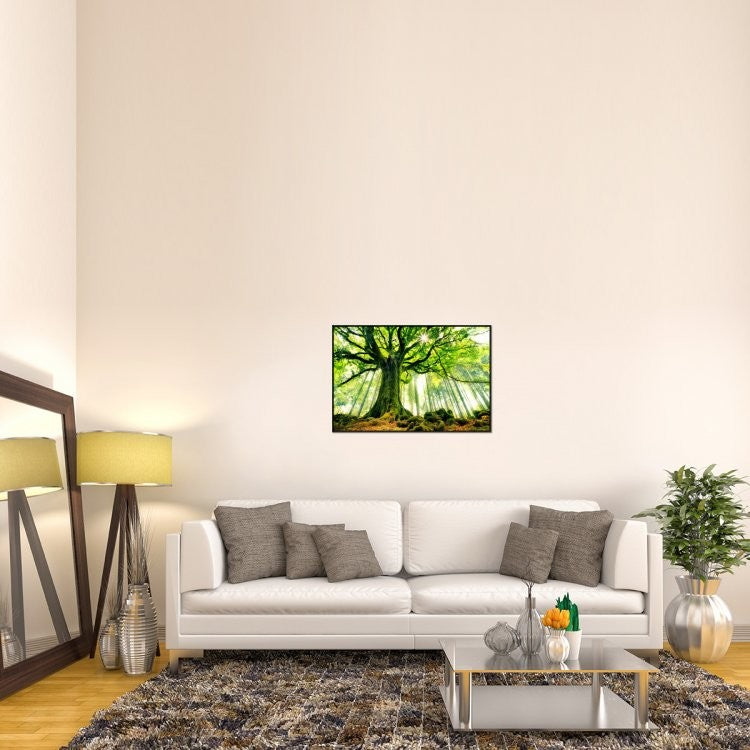 "Ponthus Beech" Framed Canvas Giclee by Christophe Kiciak, 37x25"