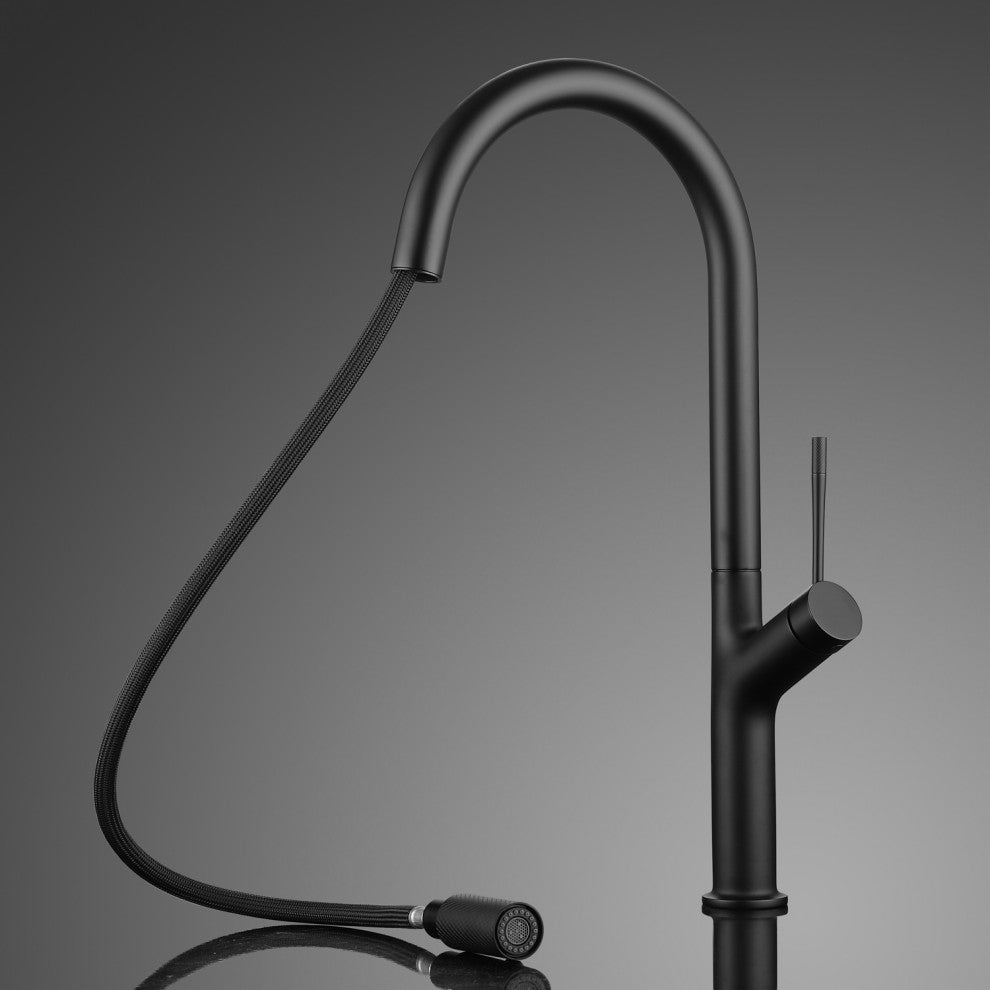 Elisa Modern Kitchen Faucet With 2 Jets, Black